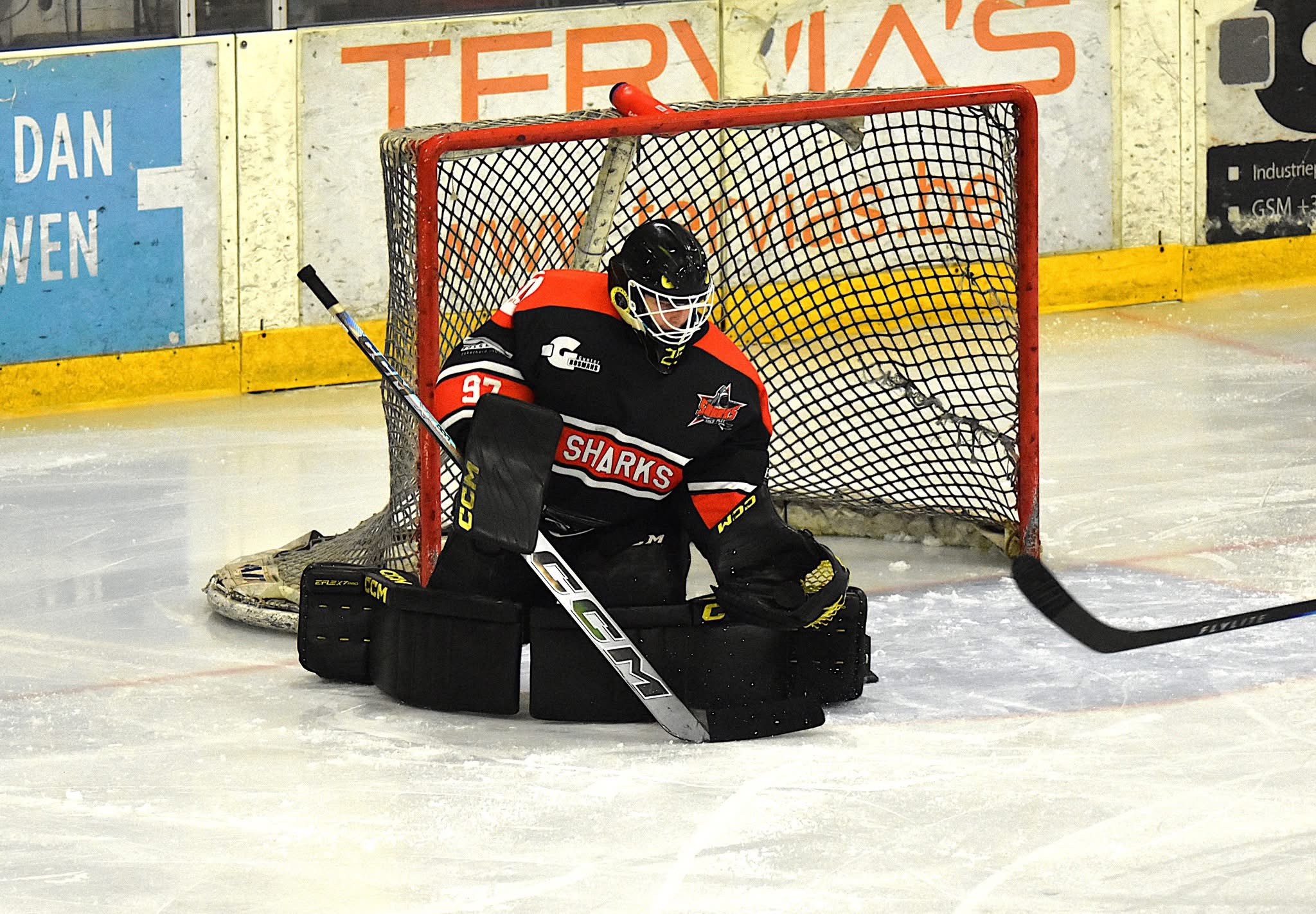 Nieuwe shirts voor de Sharks